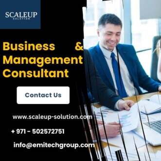 business and management consultant