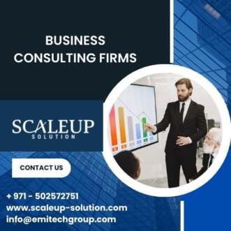 Business Advisory & Consulting Services